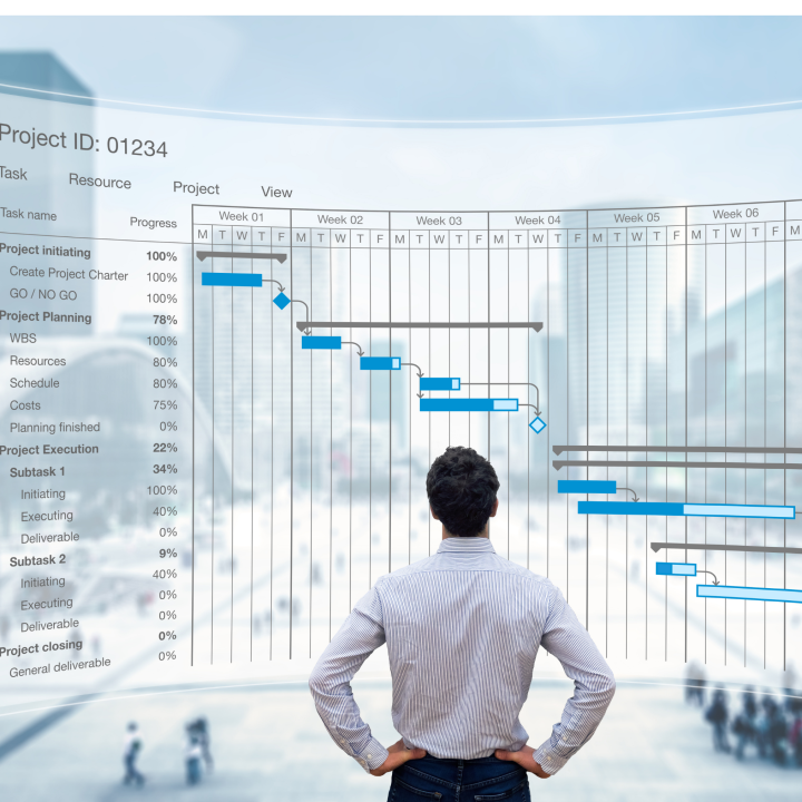 Project Management Services